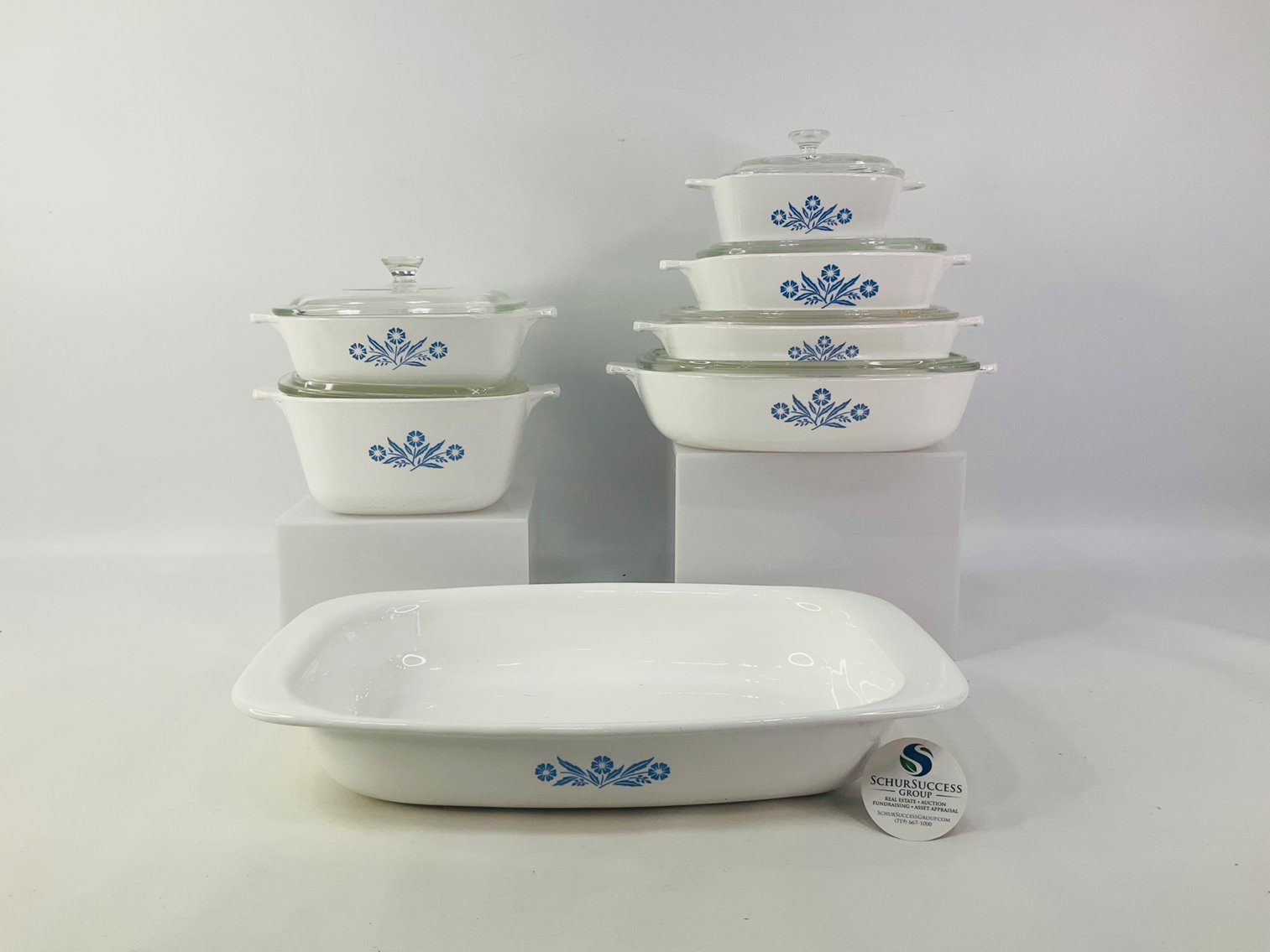 Image for Wacky Wednesday February 2025