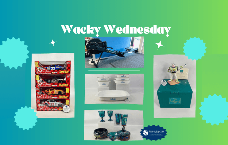 Image for Wacky Wednesday February 2025