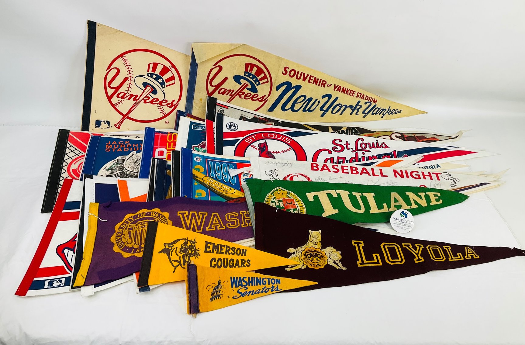 Image for Delightful Discoveries February 2025