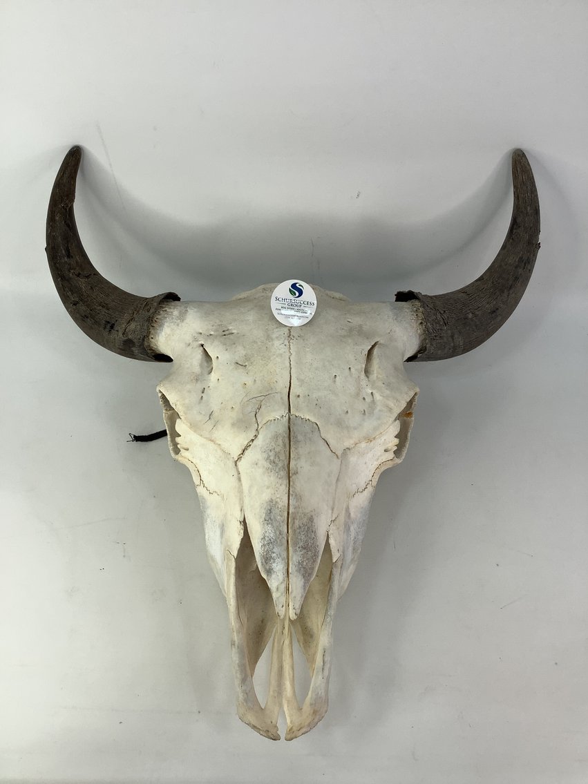 Image for Fantastic Finds February 2025