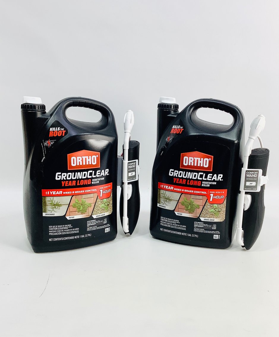 Image for Delightful Discoveries April 2025