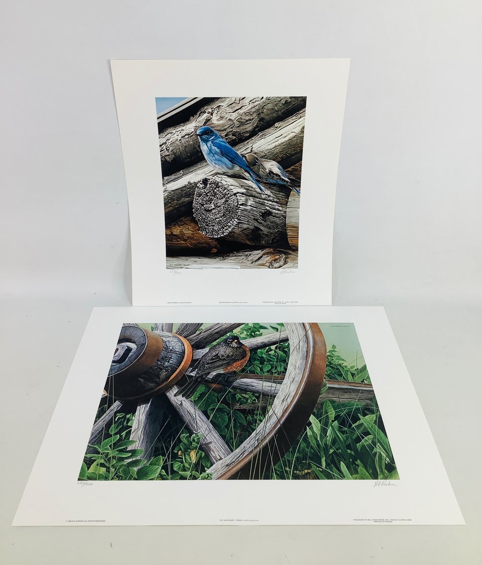 Image for Delightful Discoveries April 2025