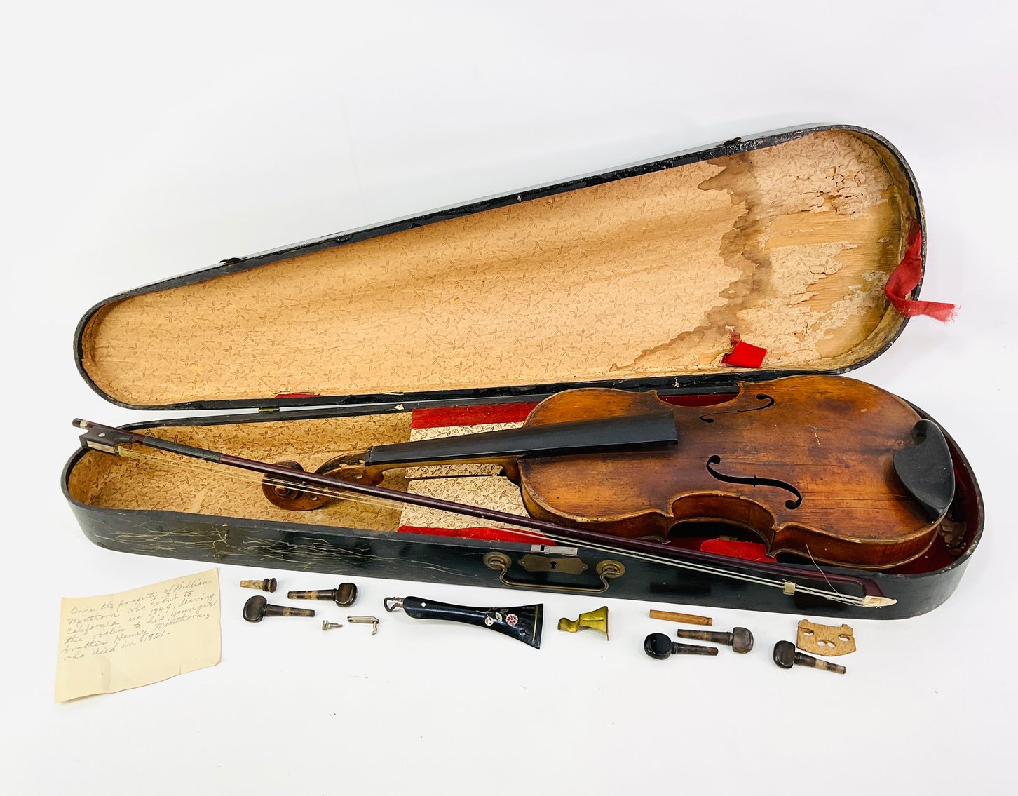 Image for Delightful Discoveries May 2025