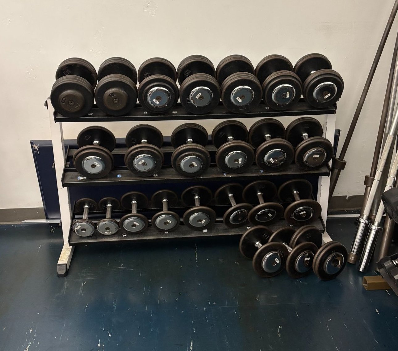 Image for Delightful Discoveries May 2025