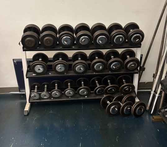 Image for Delightful Discoveries May 2025