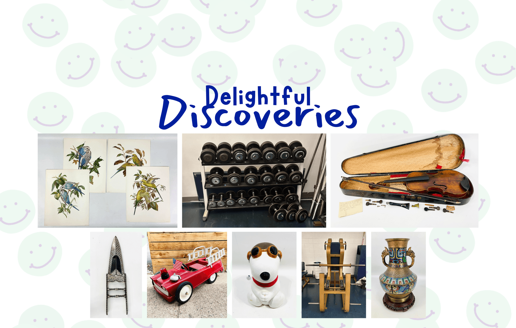 Image for Delightful Discoveries May 2025