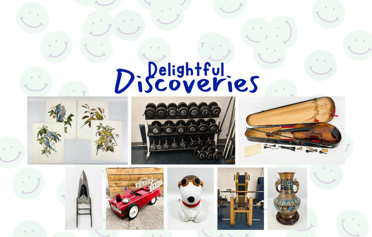 Image for Delightful Discoveries May 2025