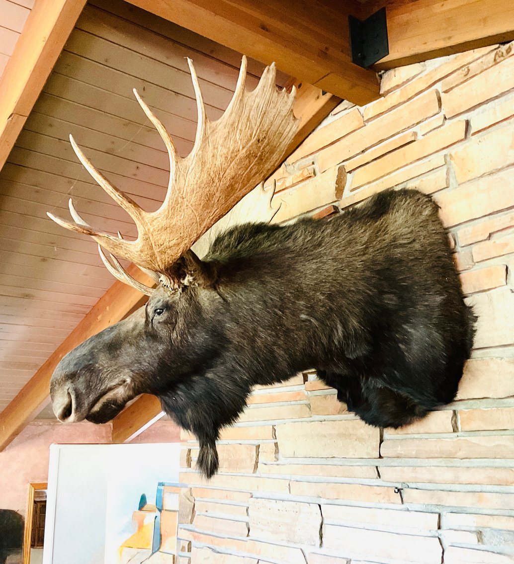 Image for Perry Park Ranch Estate 2025