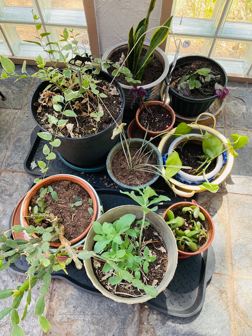 Image for Perry Park Ranch Estate 2025