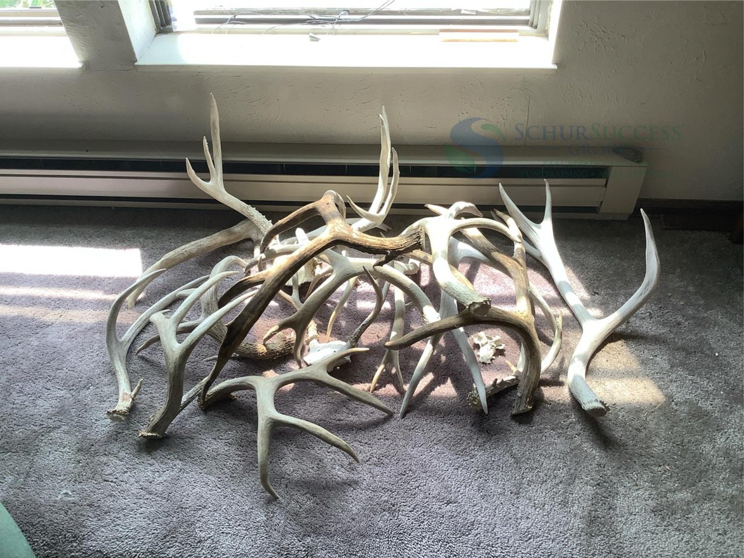 Image for Wakonda Hills Estate 2025 - Part 1