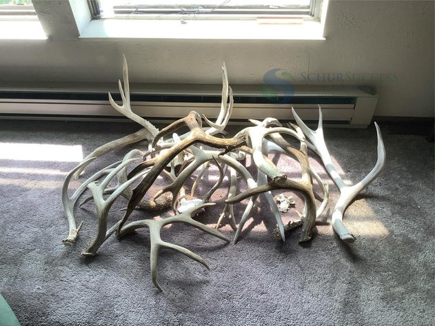 Image for Wakonda Hills Estate 2025 - Part 1