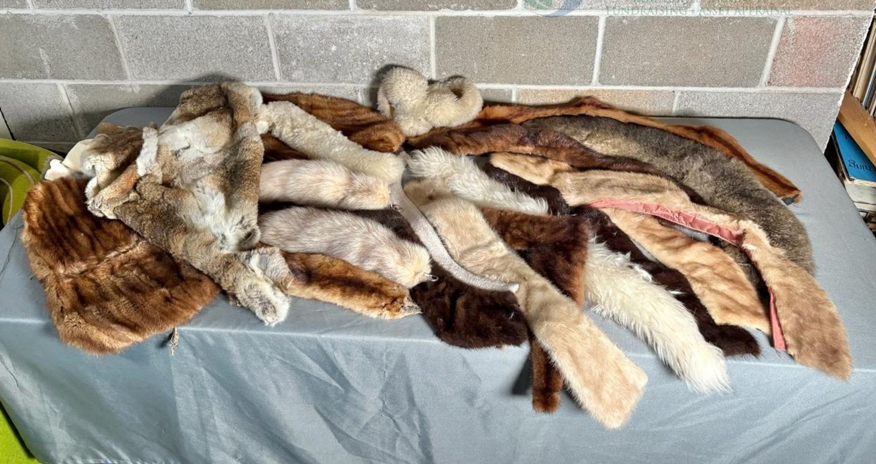 Image for Wakonda Hills Estate 2025 - Part 3