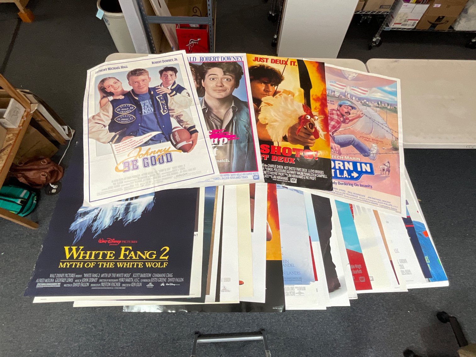 Image for Delightful Discoveries July 2025