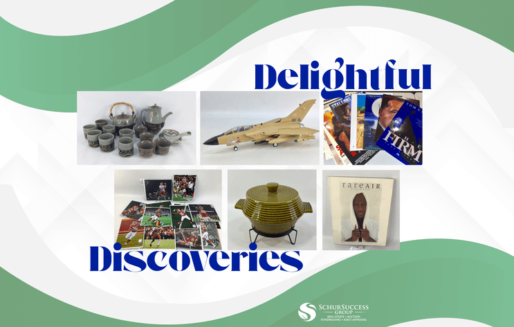 Image for Delightful Discoveries July 2025