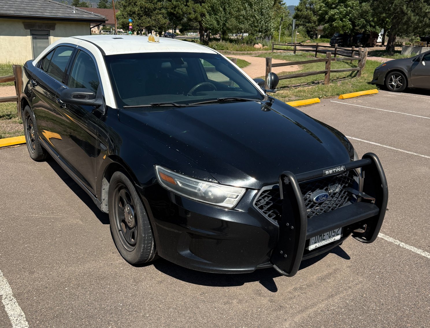 Image for Something Spectacular August 2025