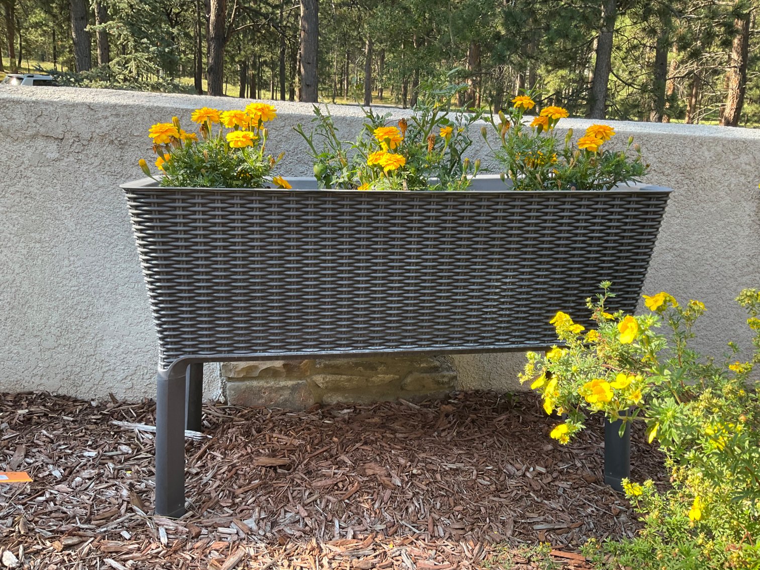 Image for Palmer Divide/83 Estate 2025