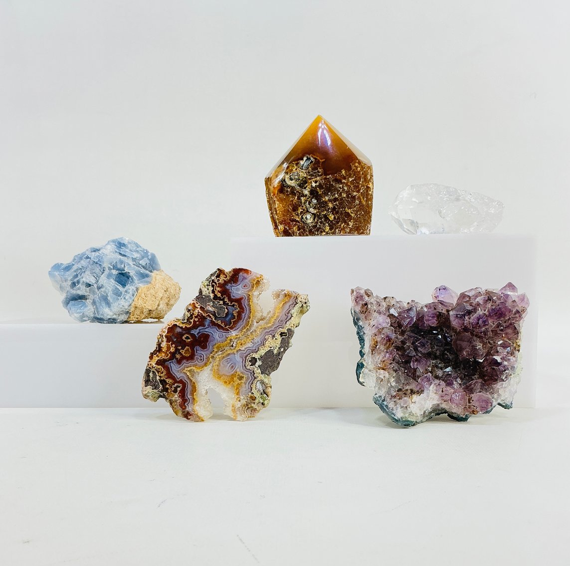 Image for Delightful Discoveries September 2025