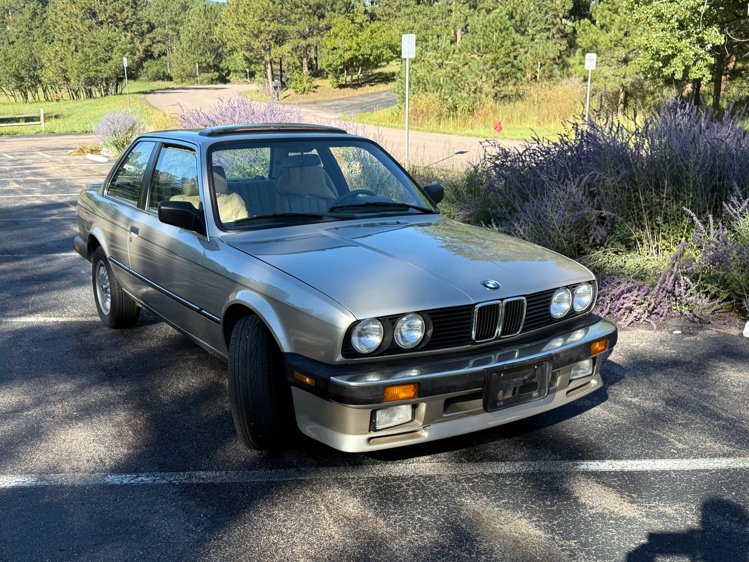 Image for Delightful Discoveries September 2025