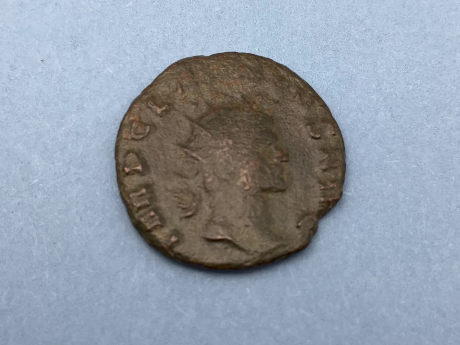 Image for Morgan Madness Coins & Currency -Oct. 2025