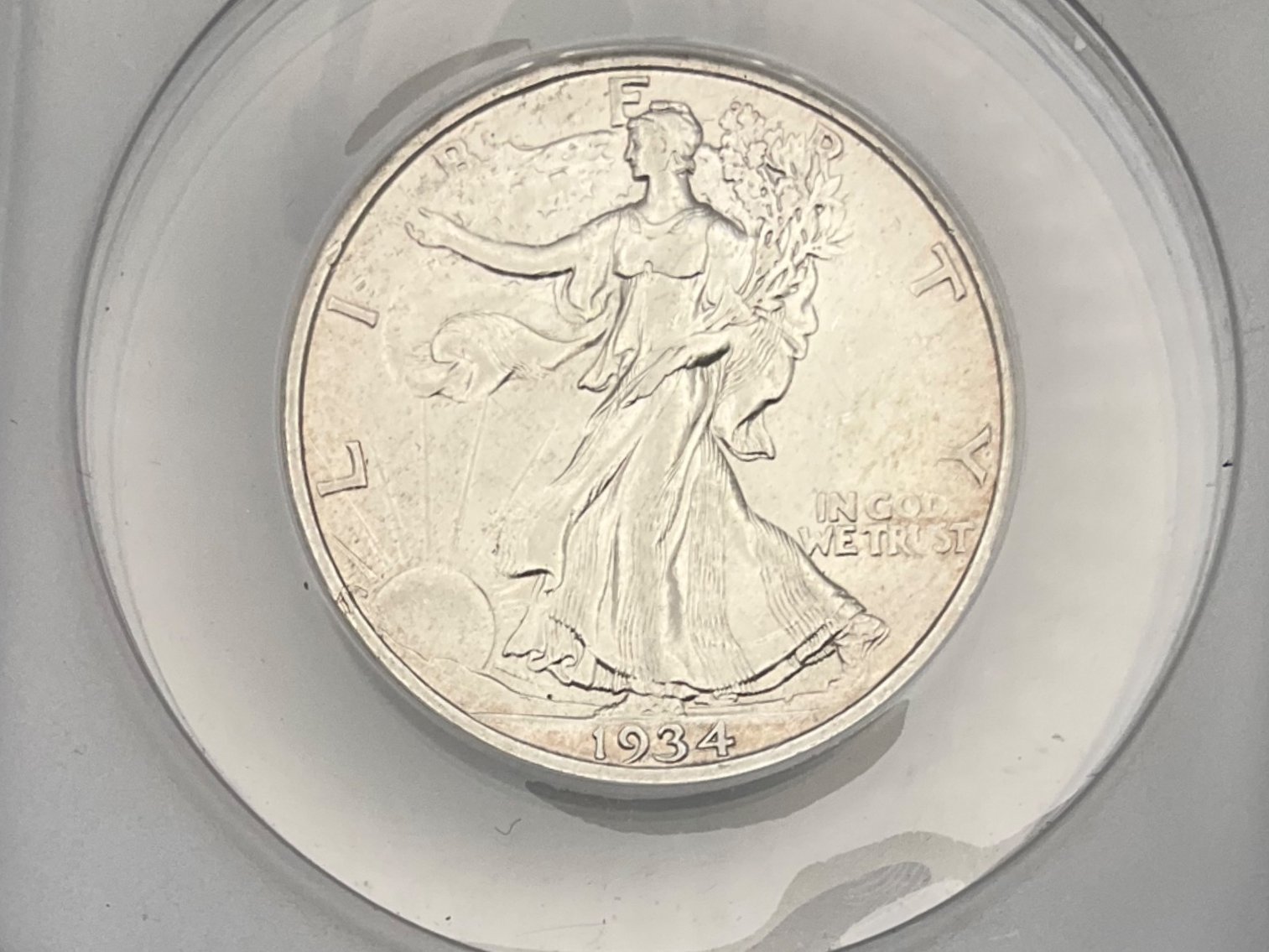 Image for Morgan Madness Coins & Currency -Oct. 2025