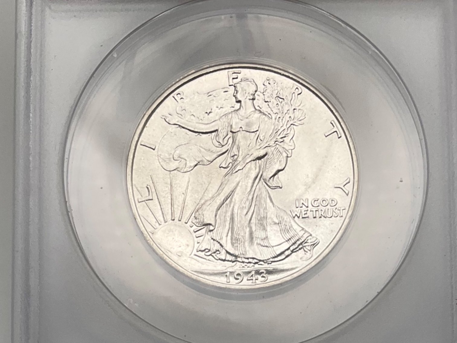 Image for Morgan Madness Coins & Currency -Oct. 2025