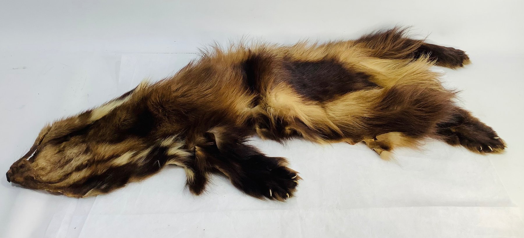 Image for Monday Mania November 2025