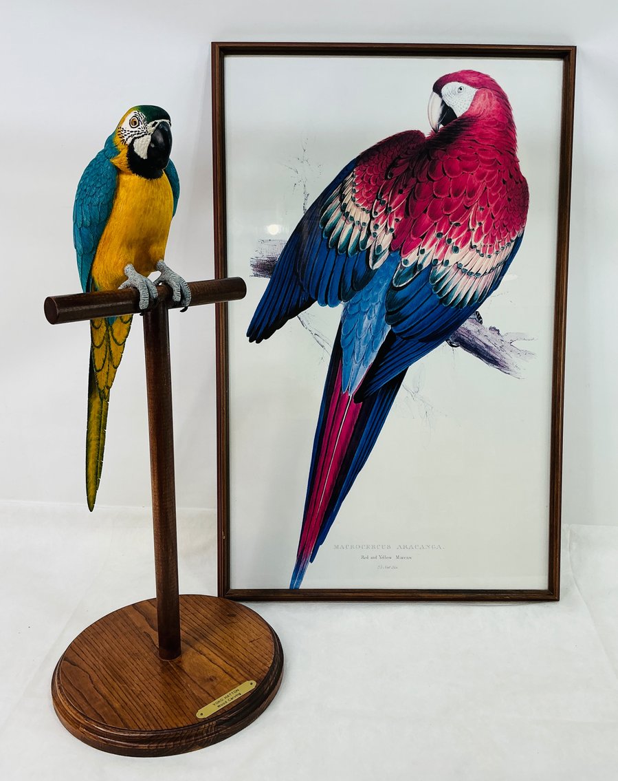 Image for Wacky Wednesday December