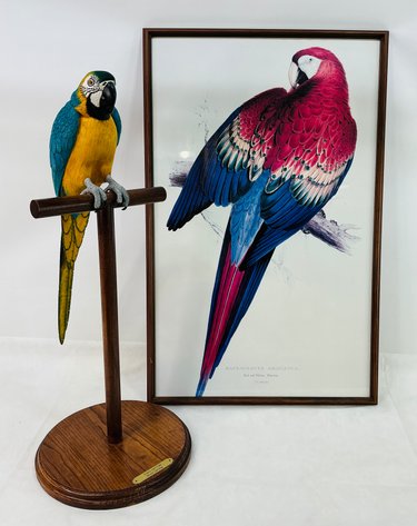 Image for Wacky Wednesday December