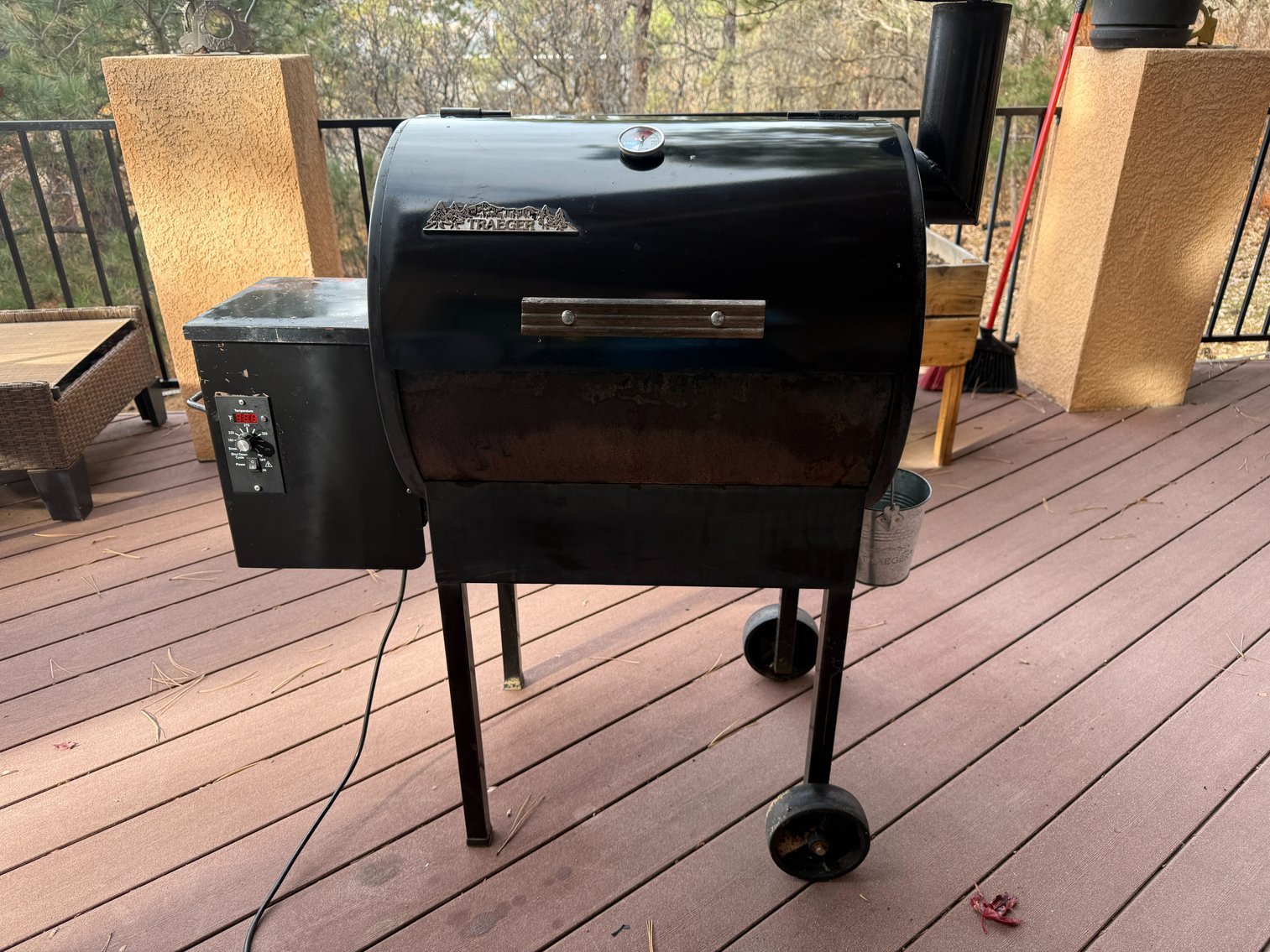 Image for Delightful Discoveries Jan. 2026