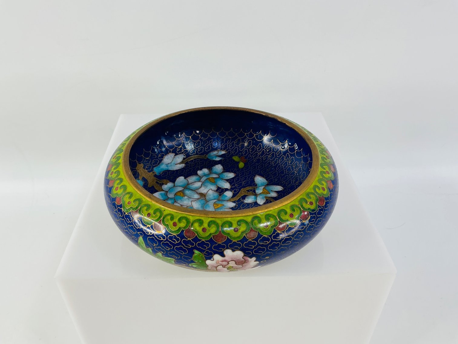 Image for Delightful Discoveries Jan. 2026