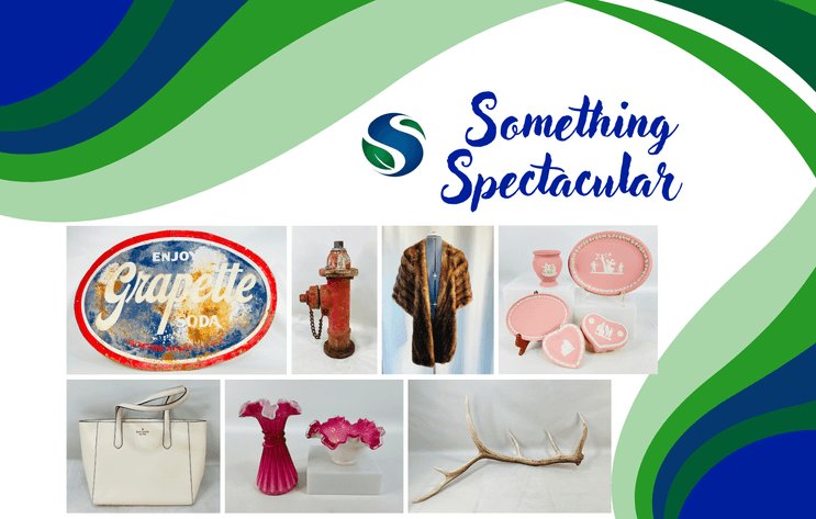 Image for Something Spectacular February 2026