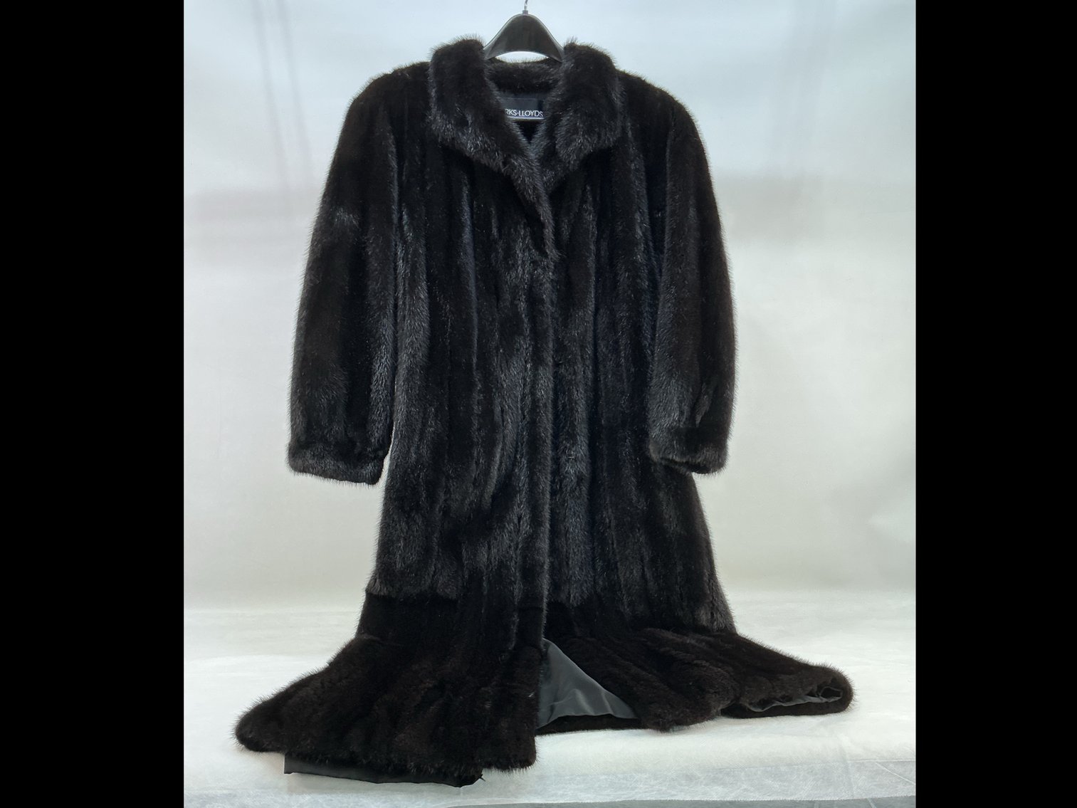 Image for Whimsical Wonders February 2026