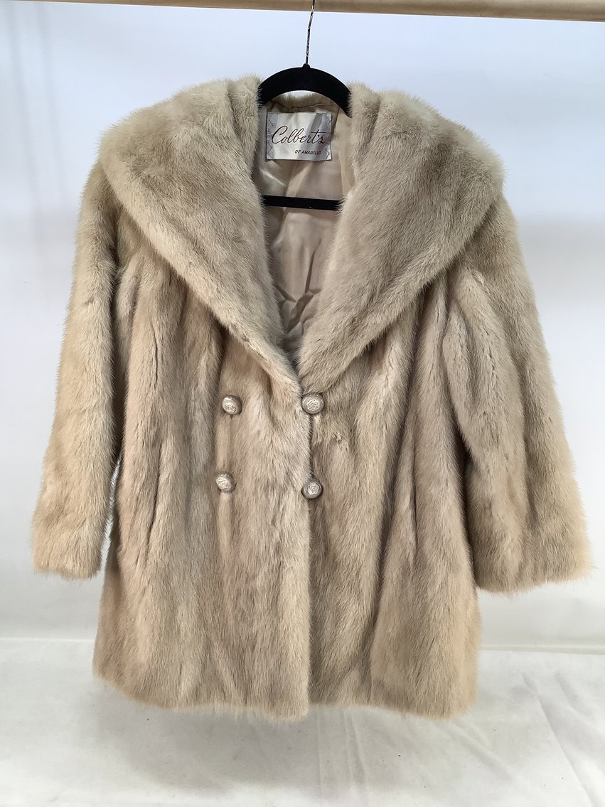 Image for Tuesday's Treasures March 2026