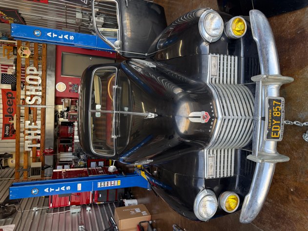 Image for Delightful Discoveries March 2026