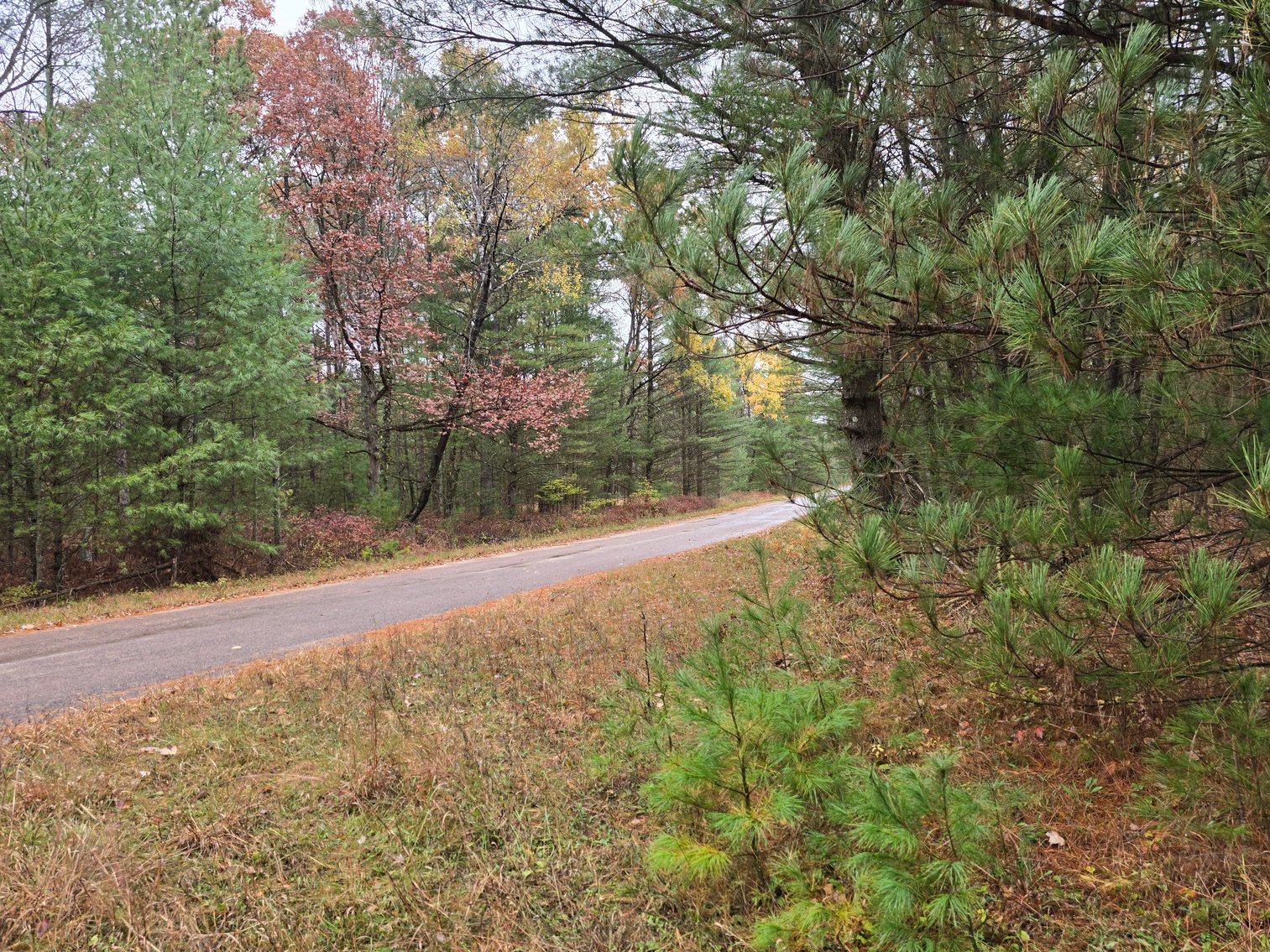 Image for SOLD!!!   20 Acres Hunting Land