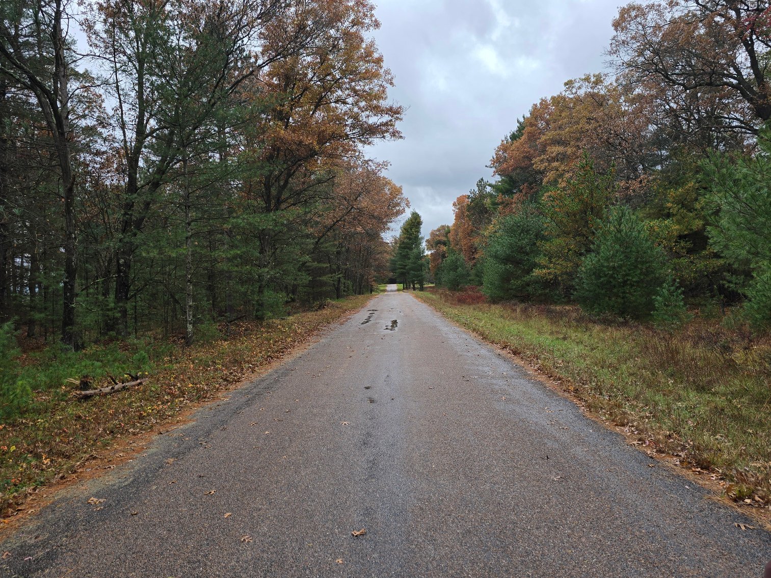 Image for SOLD!!!   20 Acres Hunting Land