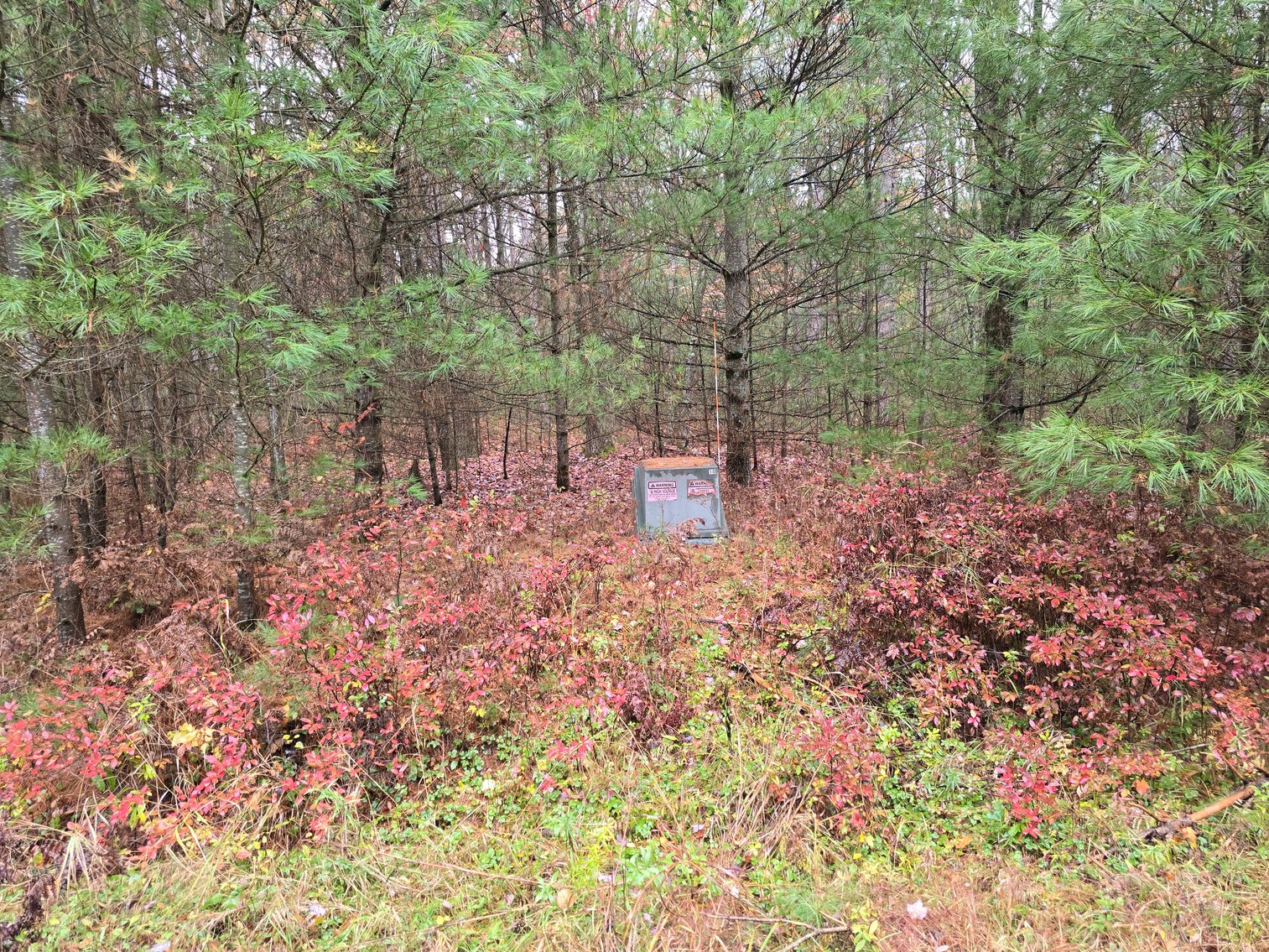 Image for SOLD!!!   20 Acres Hunting Land