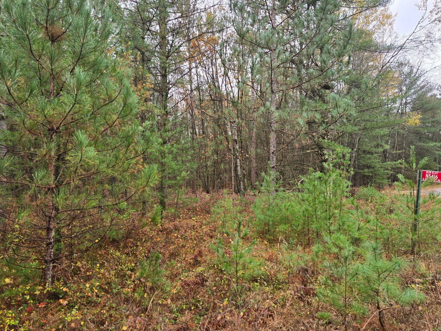 Image for SOLD!!!   20 Acres Hunting Land
