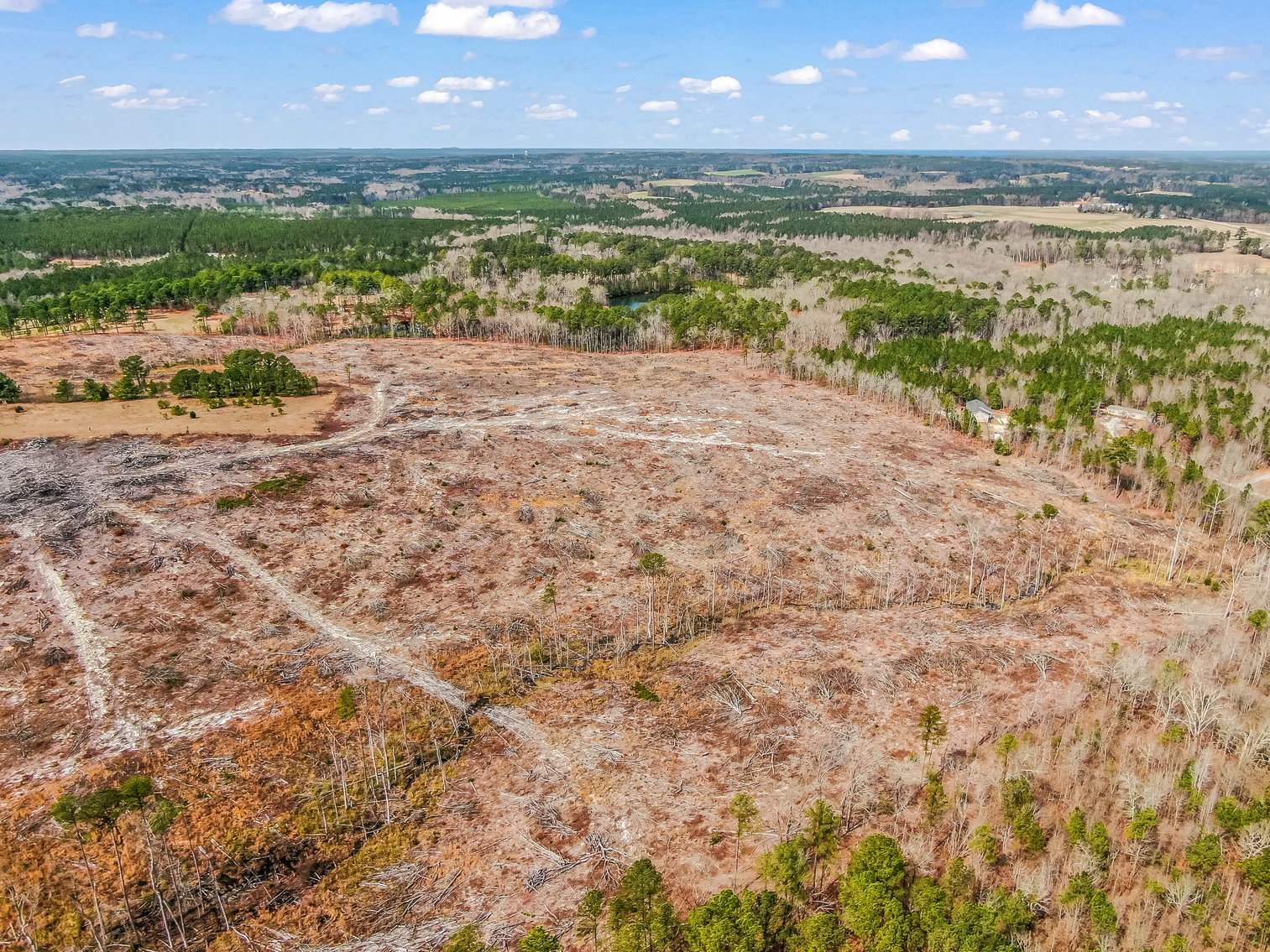 Auction for 119 + - Acres Carthage, NC  Moore County