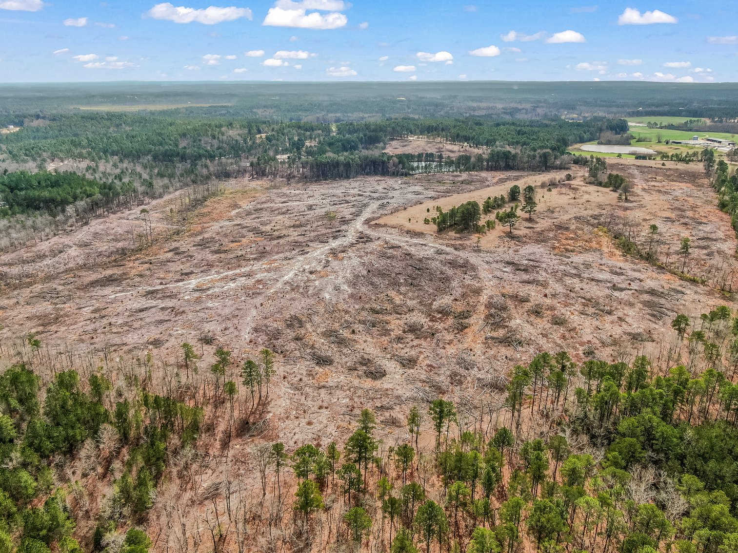 Auction for 119 + - Acres Carthage, NC  Moore County