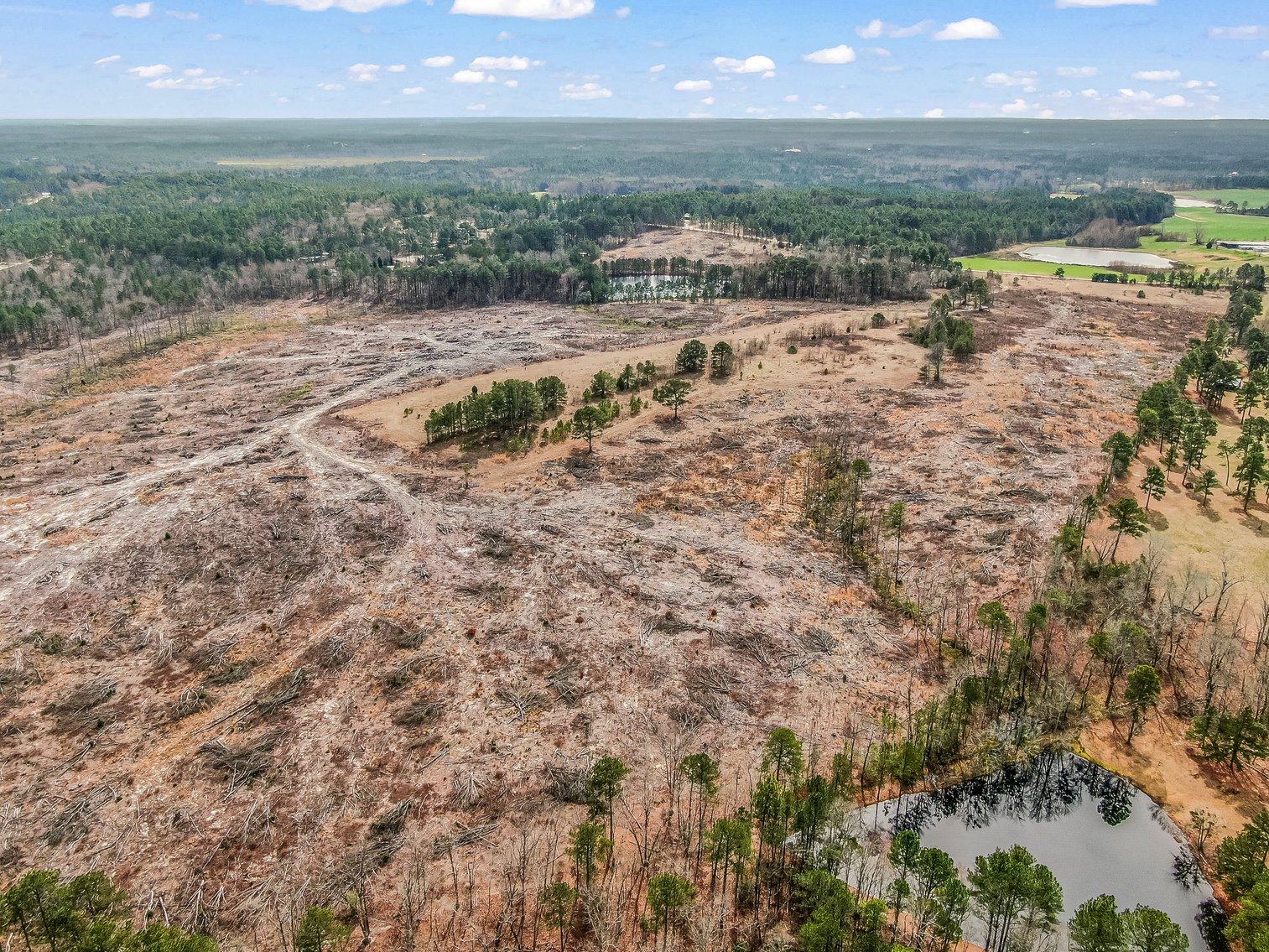 Auction for 119 + - Acres Carthage, NC  Moore County