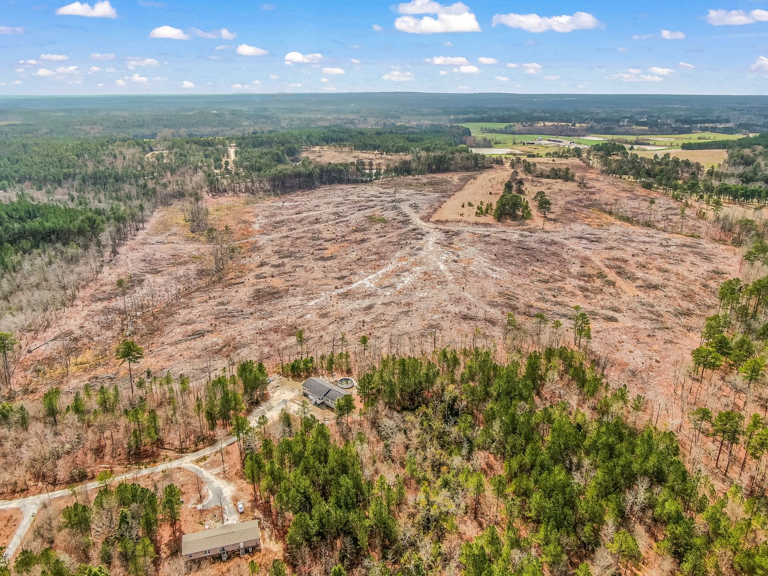 Auction for 119 + - Acres Carthage, NC  Moore County