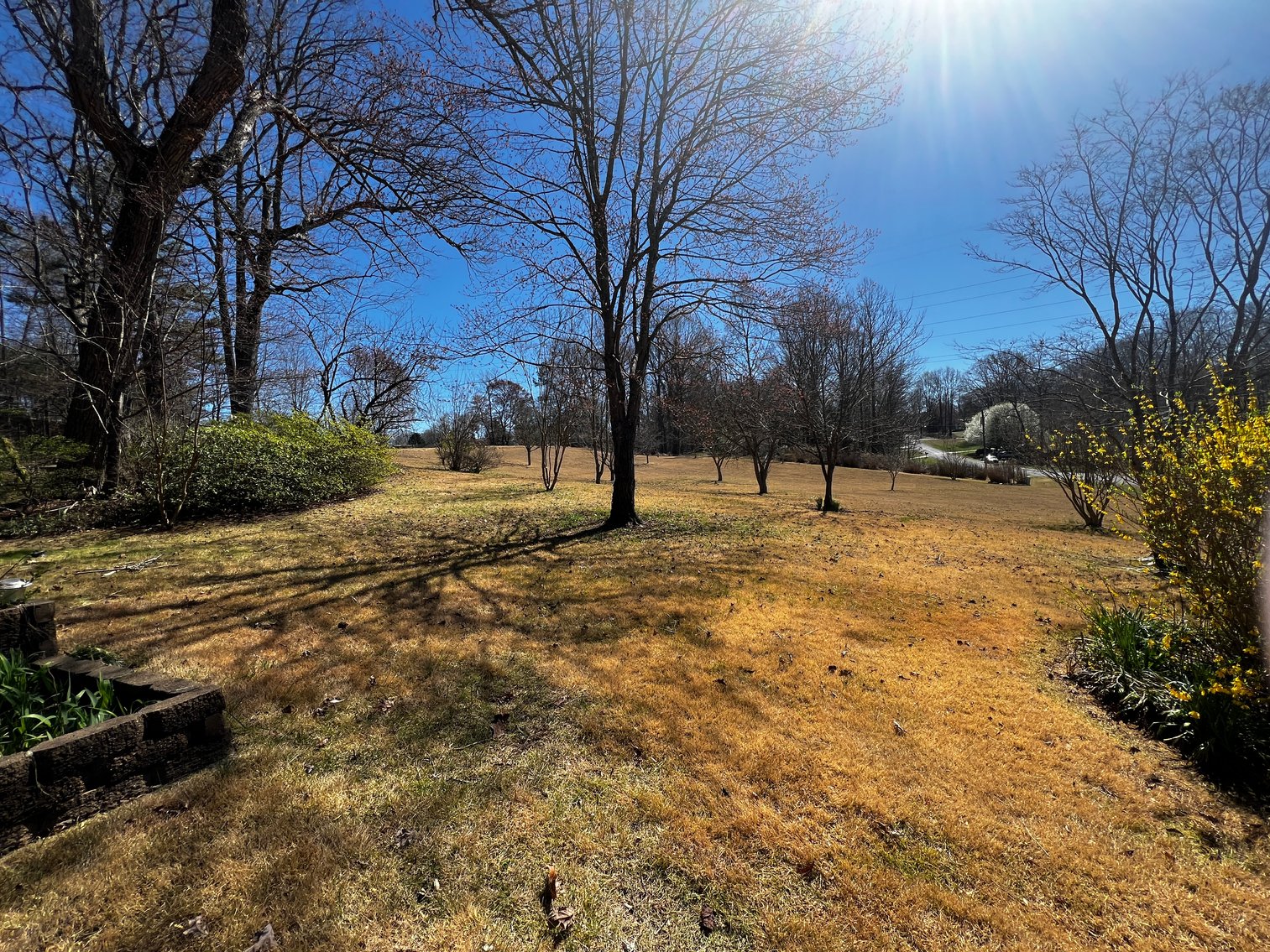 Advance Brick Rancher Auction