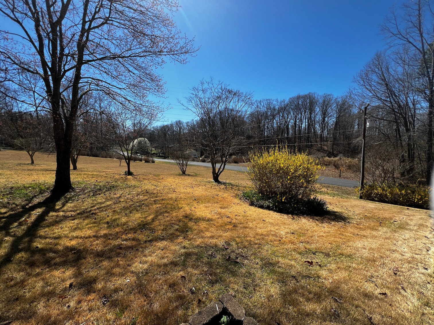 Advance Brick Rancher Auction