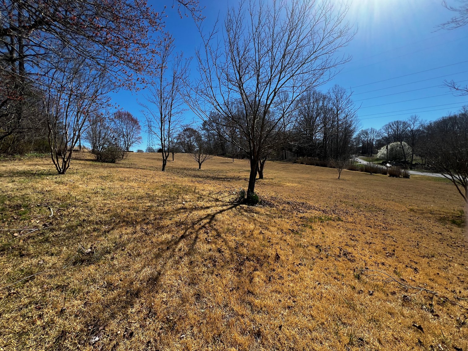 Advance Brick Rancher Auction