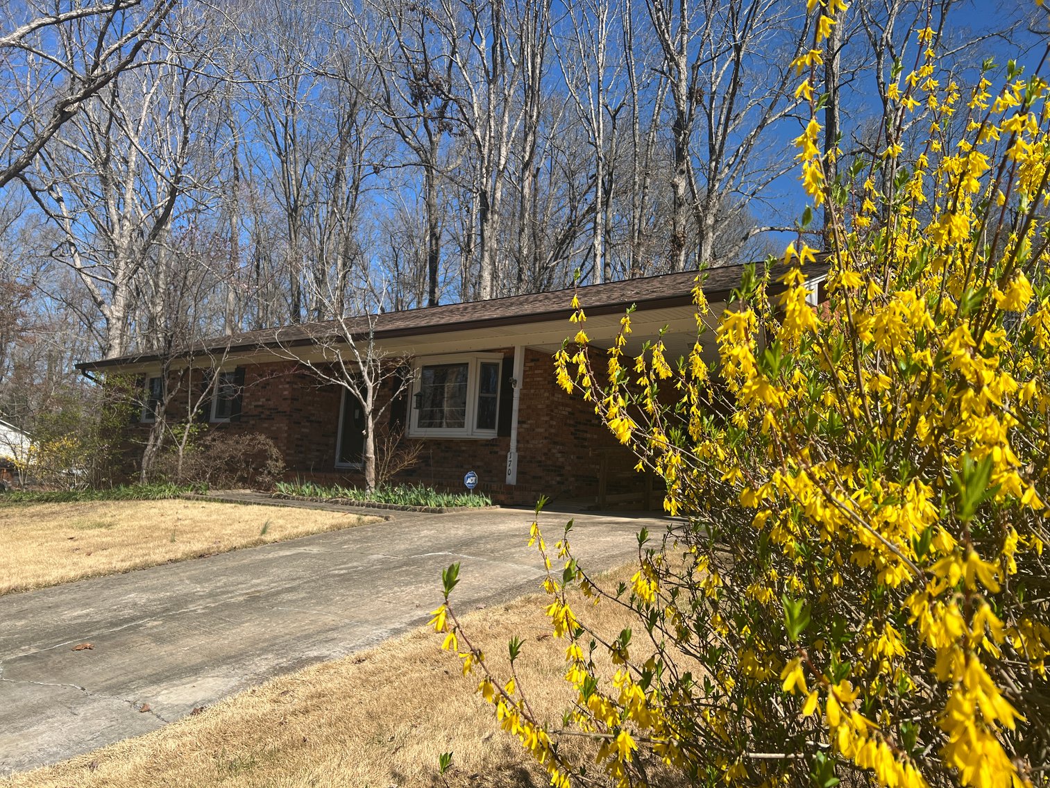 Advance Brick Rancher Auction