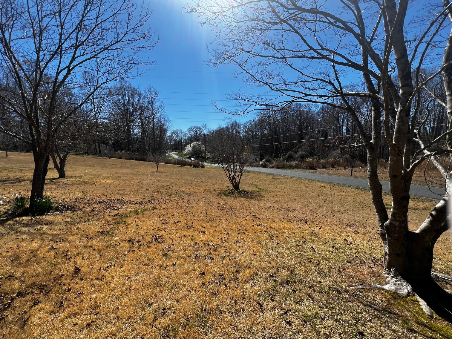 Advance Brick Rancher Auction