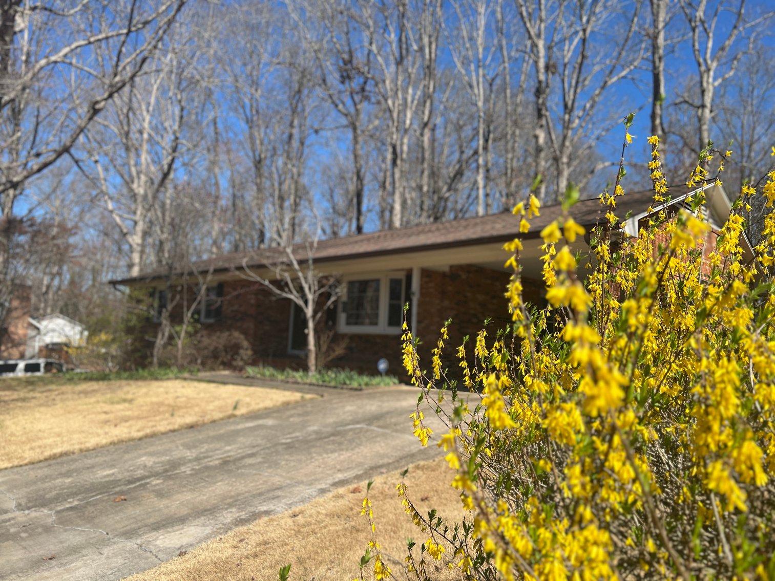 Advance Brick Rancher Auction