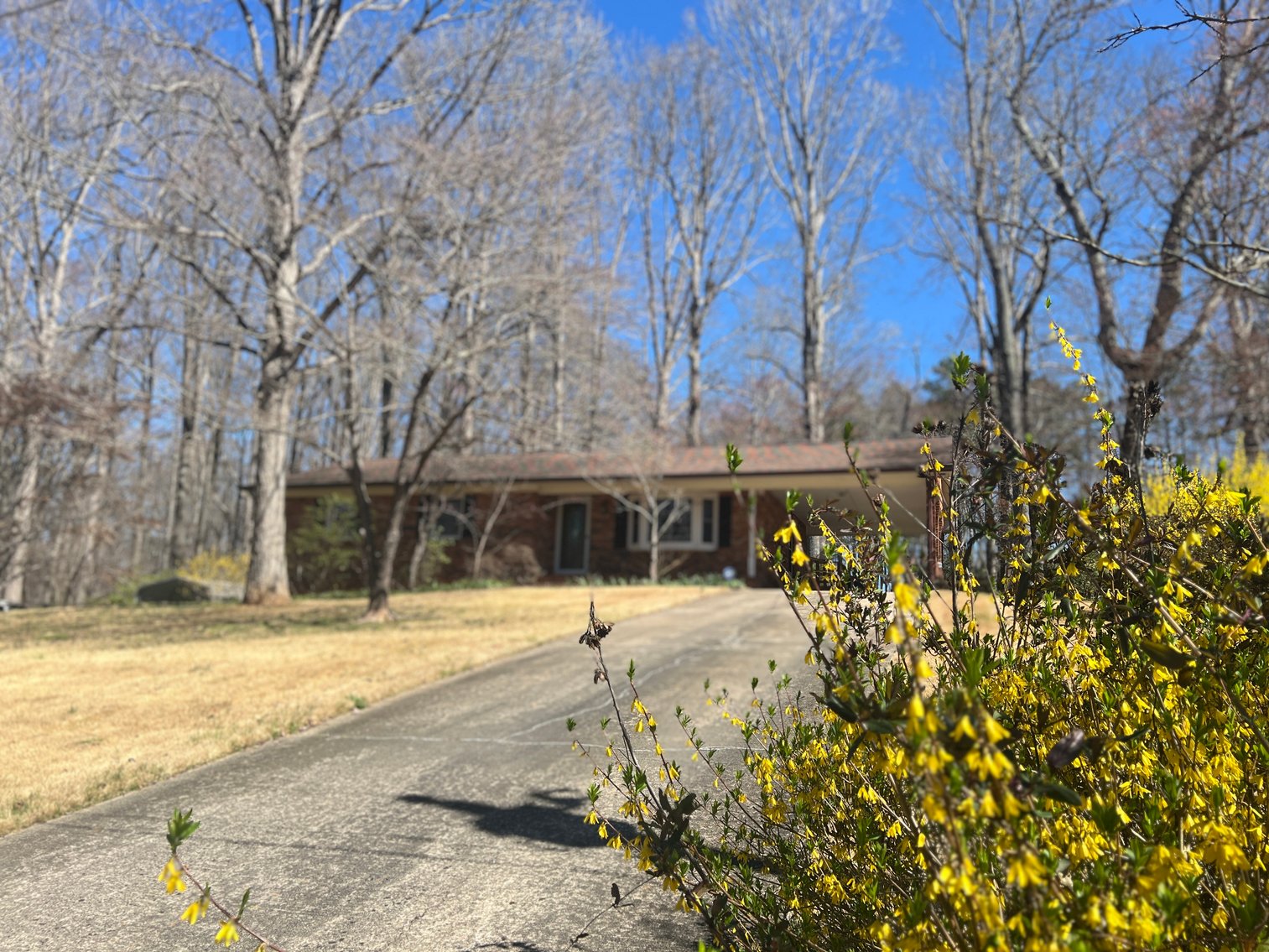 Advance Brick Rancher Auction