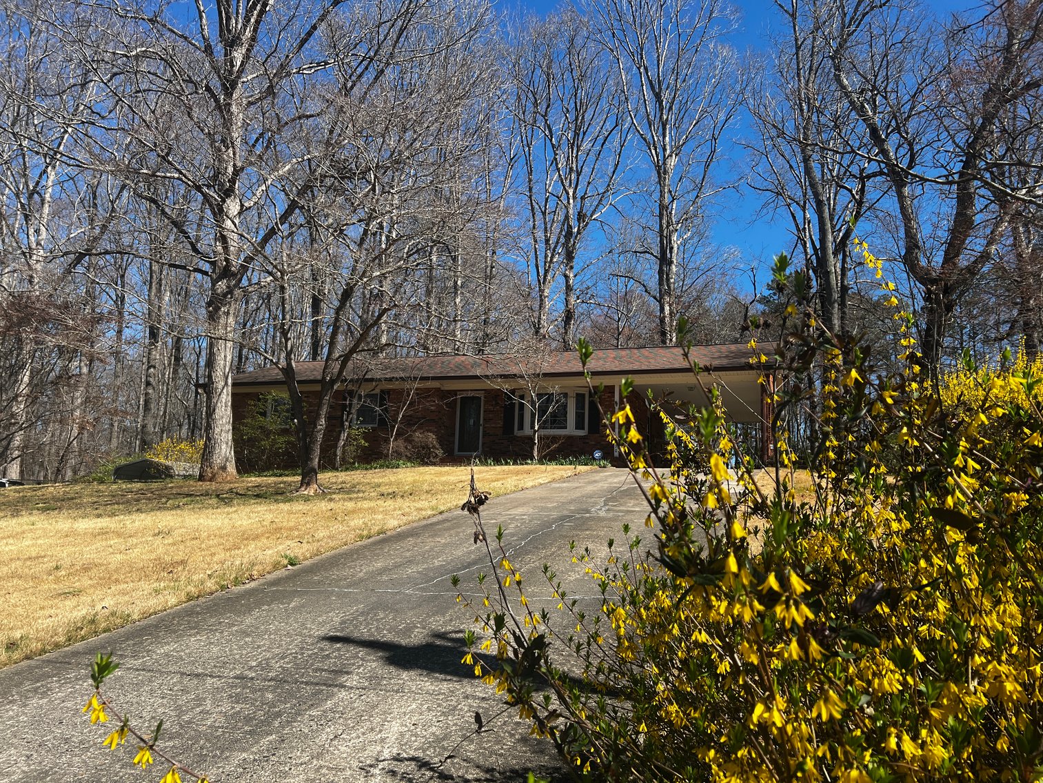 Advance Brick Rancher Auction